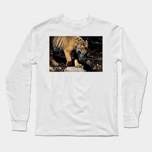 Tiger Stalking - Close Up Long Sleeve T-Shirt